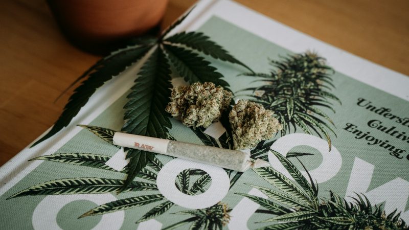 faut il fumer le cbd ? les avantages et les inconvénients