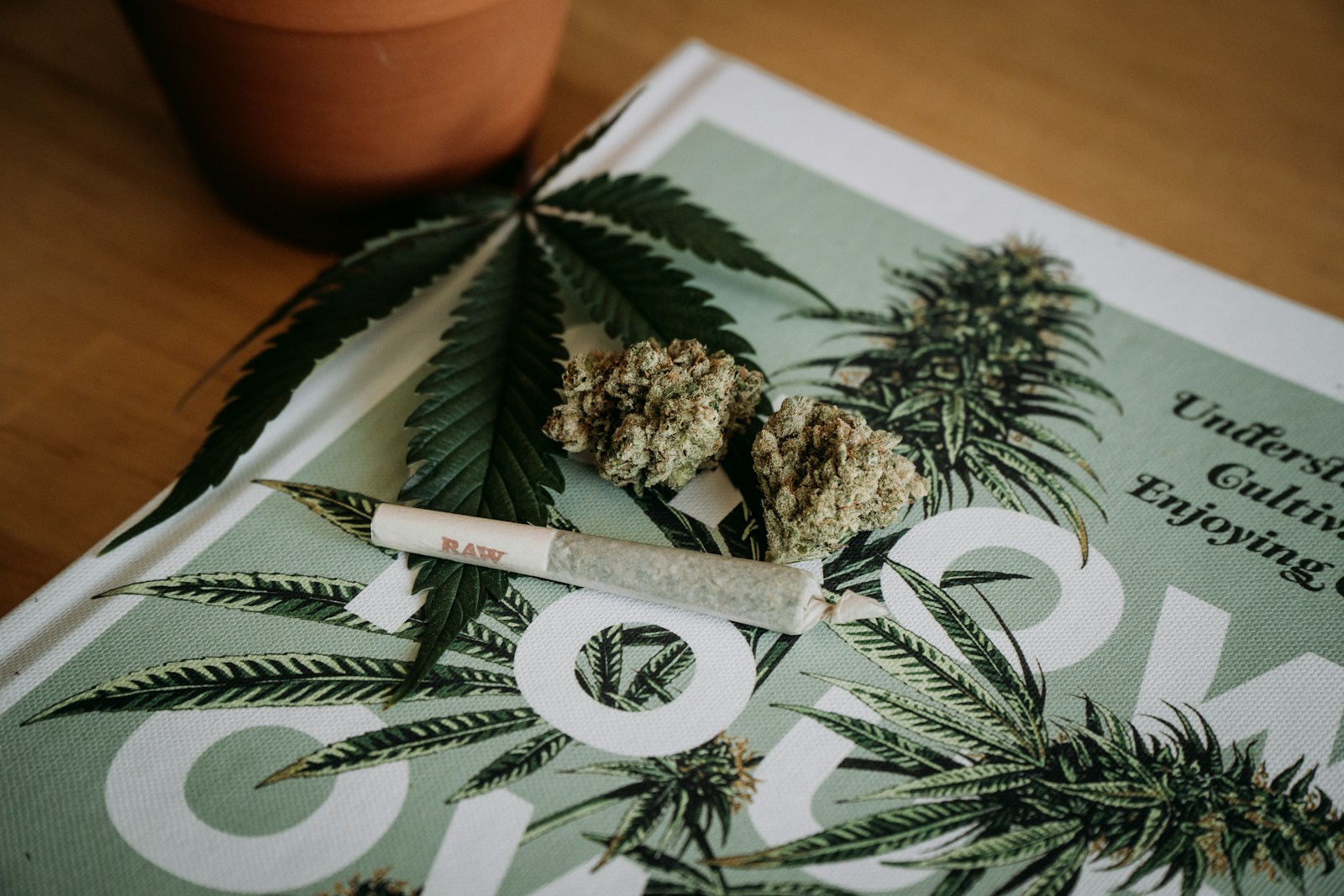 faut il fumer le cbd ? les avantages et les inconvénients