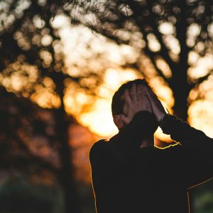 le rôle du systeme endocannabinoïde dans le bien-être