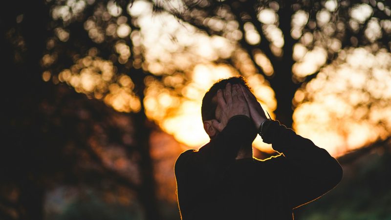 le rôle du systeme endocannabinoïde dans le bien-être