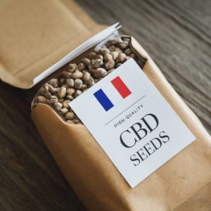 Où trouver des semences de cbd conformes à la réglementation française ?