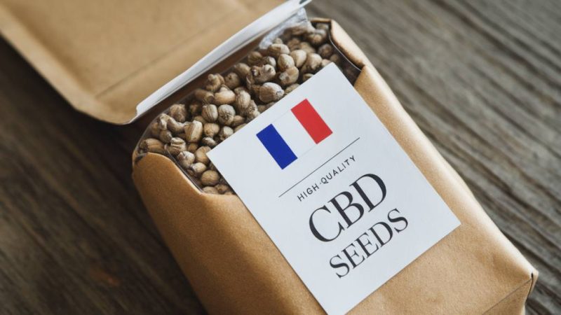 Où trouver des semences de cbd conformes à la réglementation française ?