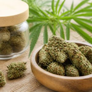 Fleur de chanvre cbd : bienfaits, usages et conseils pour bien la choisir