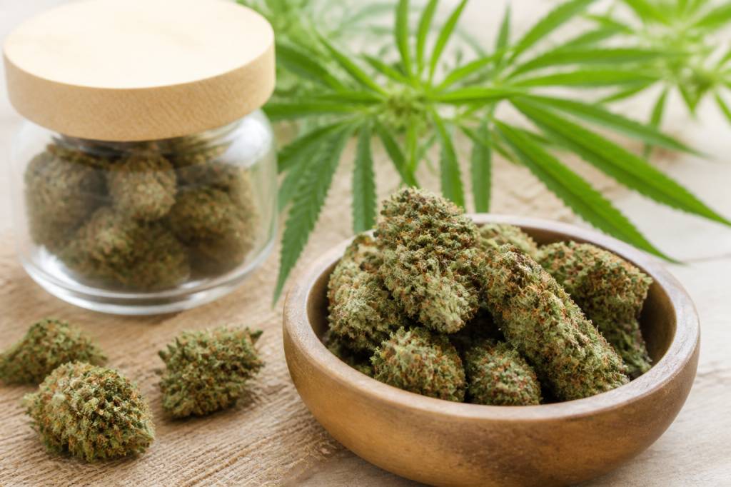 Fleur de chanvre cbd : bienfaits, usages et conseils pour bien la choisir