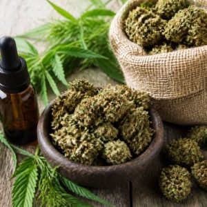 Fleurs de chanvre cbd : usages, propriétés et critères de choix