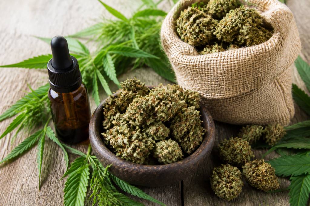 Fleurs de chanvre cbd : usages, propriétés et critères de choix