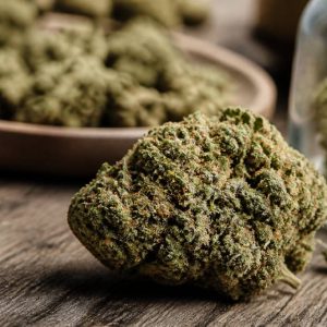 Fleur de canabise : usages, bienfaits et critères de qualité