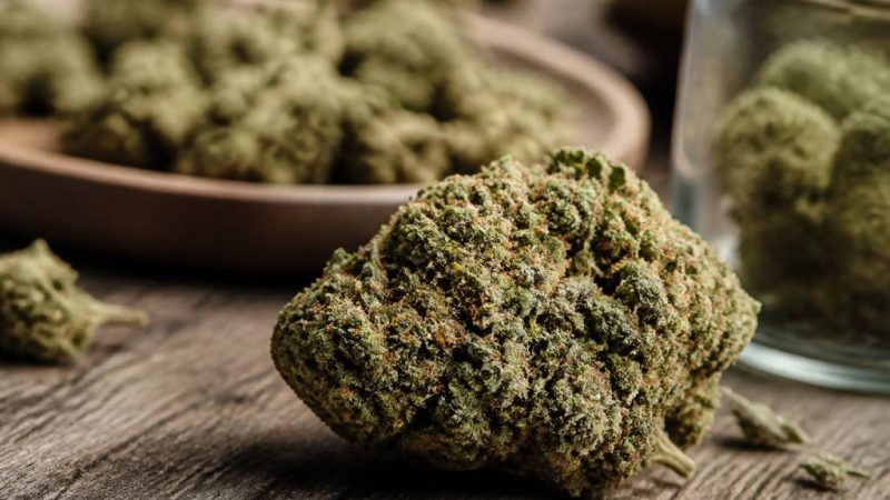 Fleur de canabise : usages, bienfaits et critères de qualité