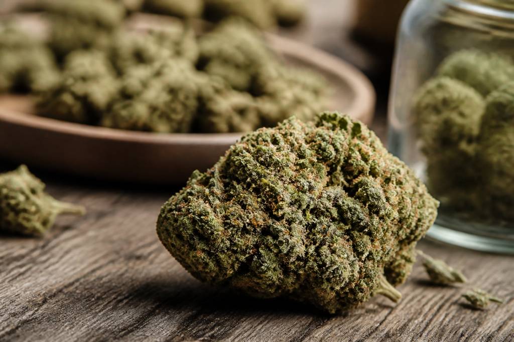 Fleur de canabise : usages, bienfaits et critères de qualité