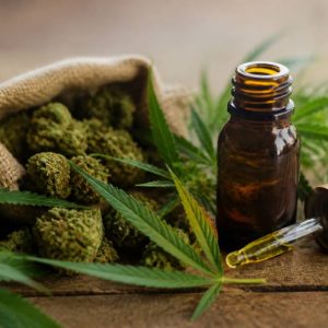 Cannabidiol achat : guide pour choisir des produits de qualité