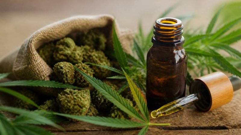 Cannabidiol achat : guide pour choisir des produits de qualité