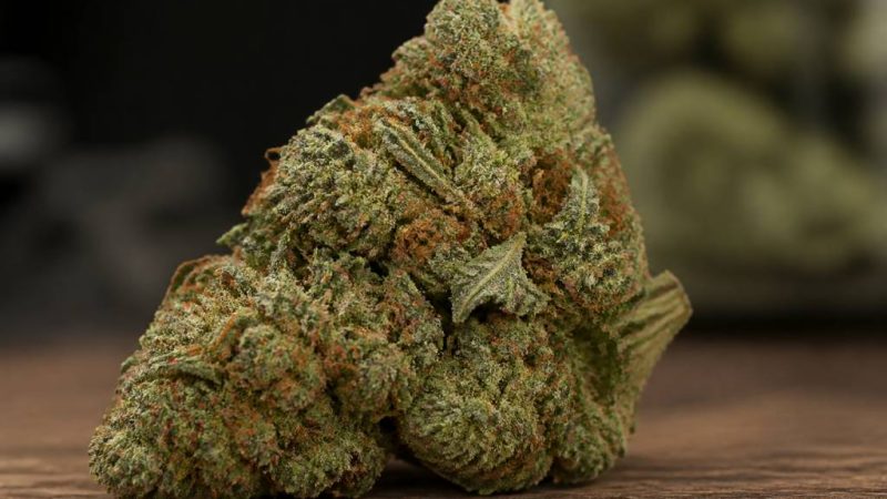 Wedding cake weed : origines, effets, arômes et législation en France