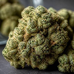Sour diesel : origine, effets et caractéristiques de cette variété de cannabis