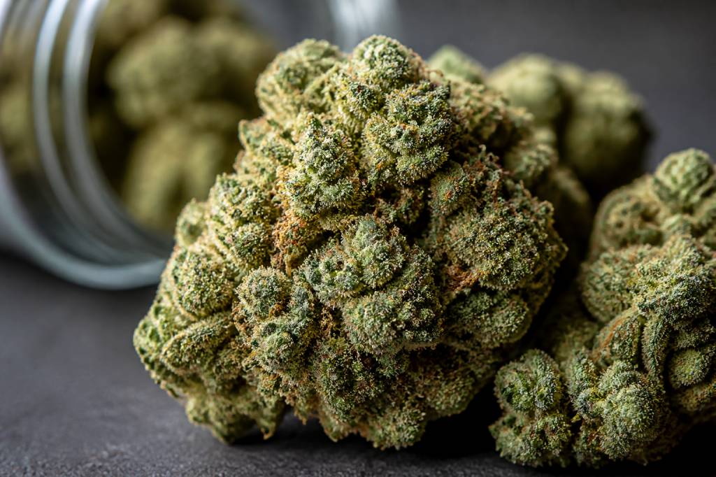 Sour diesel : origine, effets et caractéristiques de cette variété de cannabis