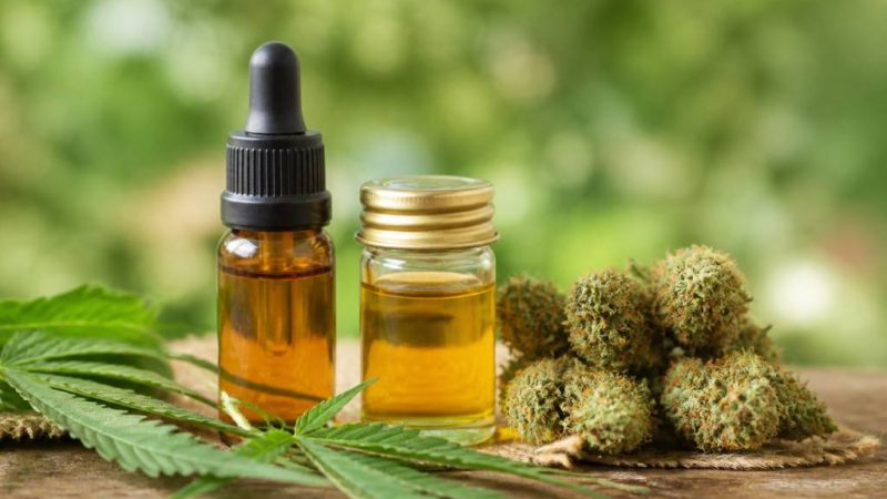 Comment choisir son cbd : critères essentiels pour un choix adapté